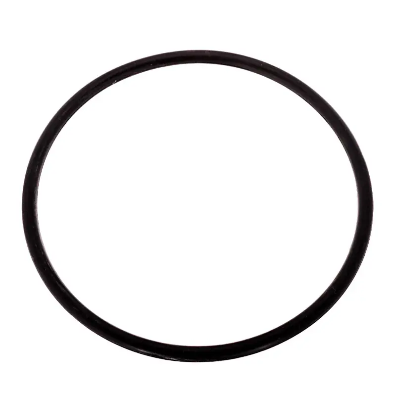 Inel Oring 72,62x3,53 1009659m1 Plată sigură