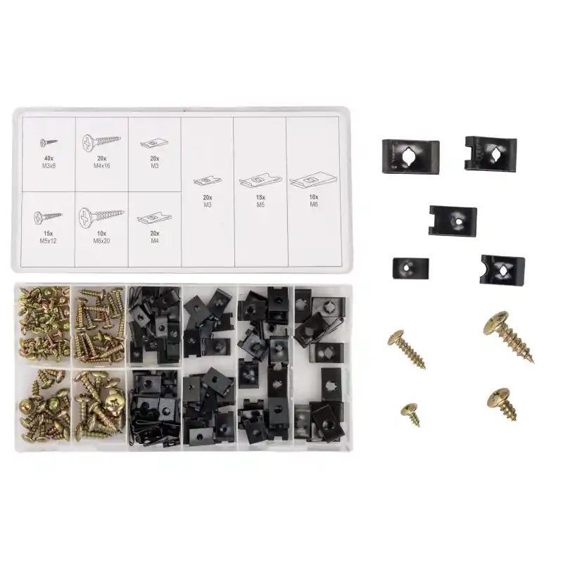 Ieftin Set șuruburi și șaibe pentru caroserie 170 buc.