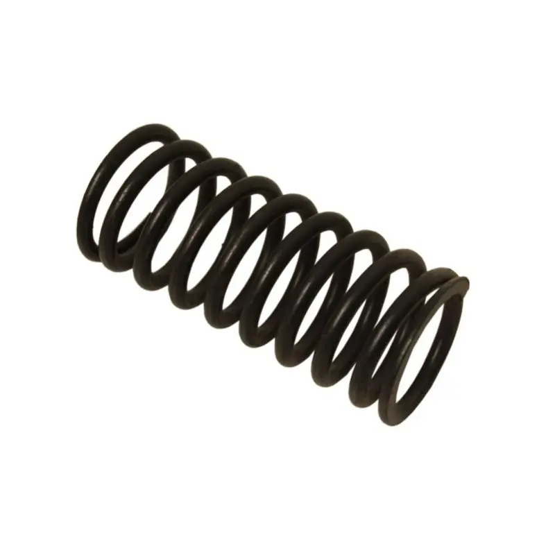 Calitate înaltă Arc supapă internă MTZ 2401007046 240-1007046