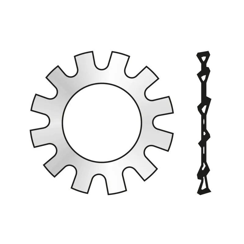 Cel mai vândut Saiba Elastica Dinti Exteriori Forma A 6797 Otel Zincat-17 Ofert - Trada Marketplace