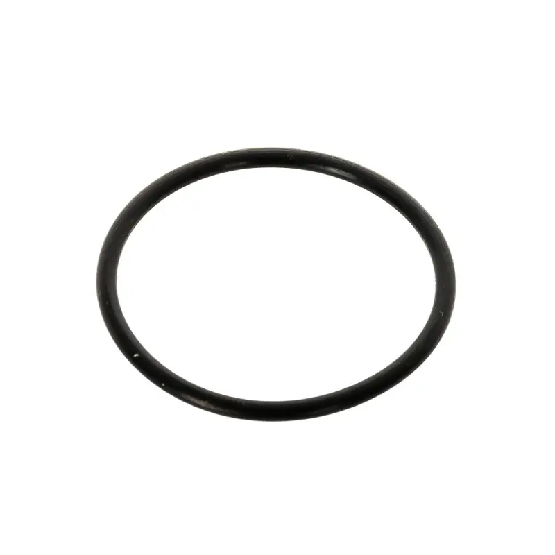 O-ring 30x2 54510516 Reduceri