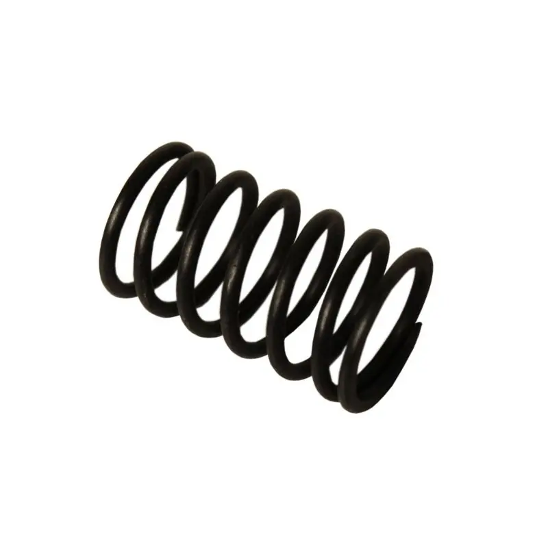 Arc supapă distribuitor 50581510 Ofertă de sezon