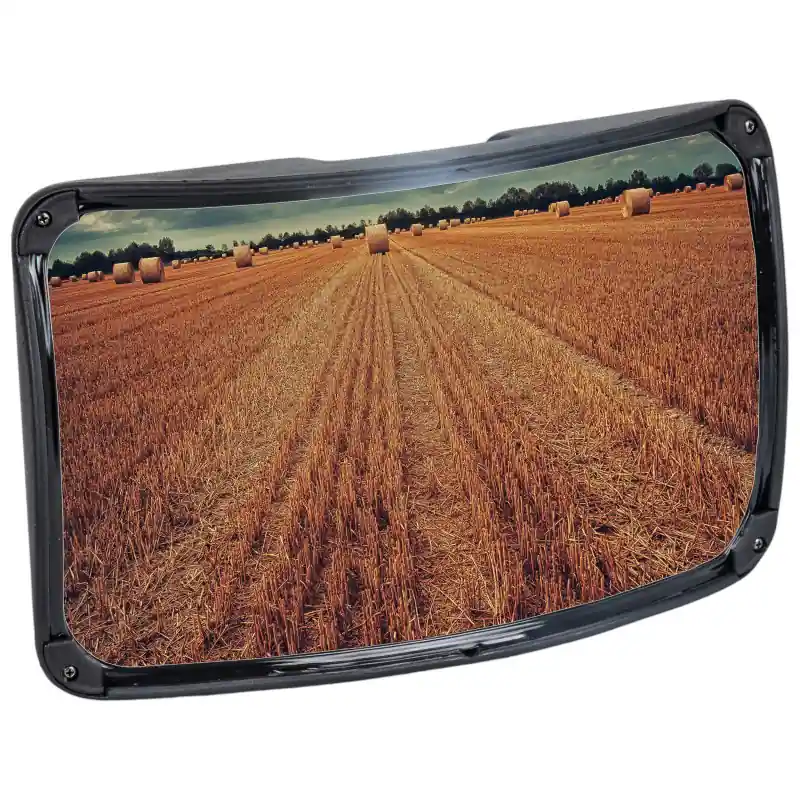 Transport gratuit Oglindă rampă panoramică 180x290mm R300