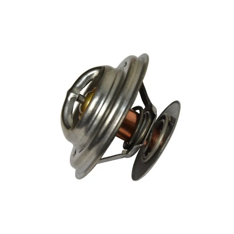 Termostat Forterra 125 12441 78005077 78.005.077 Mai ieftin