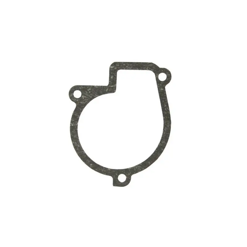 Garnitură pompă apă MTZ 501307048B Promoție