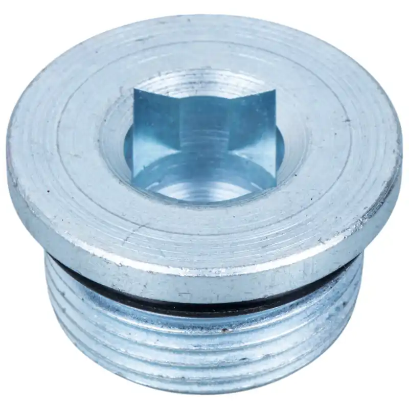 Cumpără online Dop filetat cu magnet, capac M30x2 Deutz Agrotron Carraro CI125280