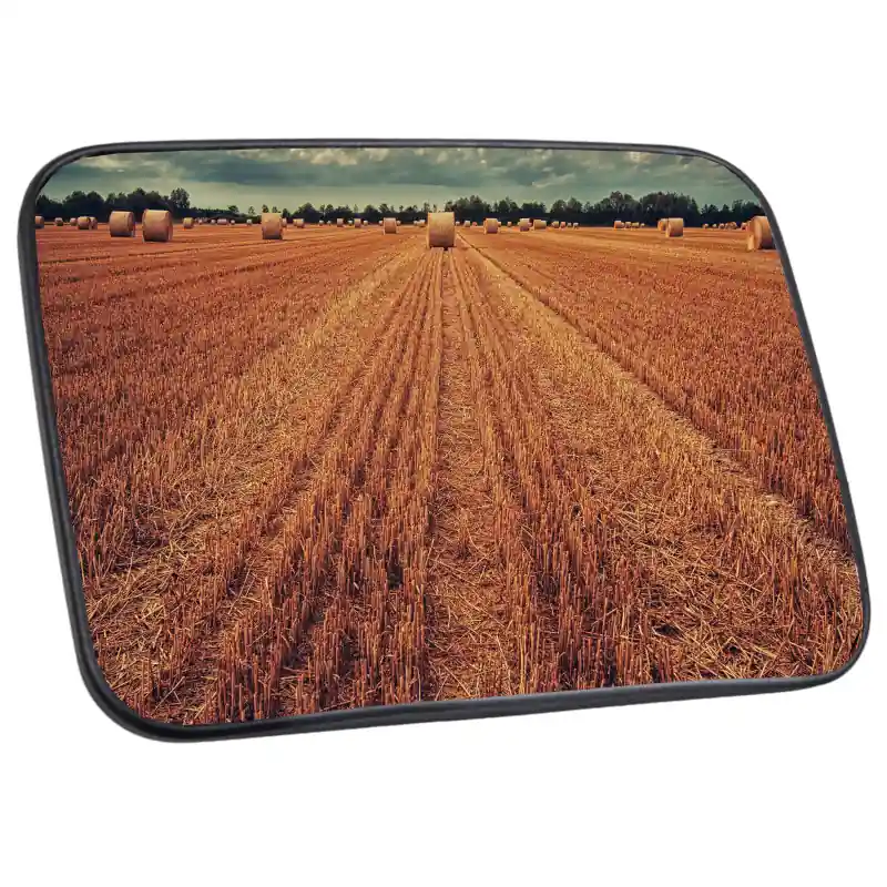 Oglindă 314x228mm cu colier 18mm pentru tractoare vestice Ofertă de sezon