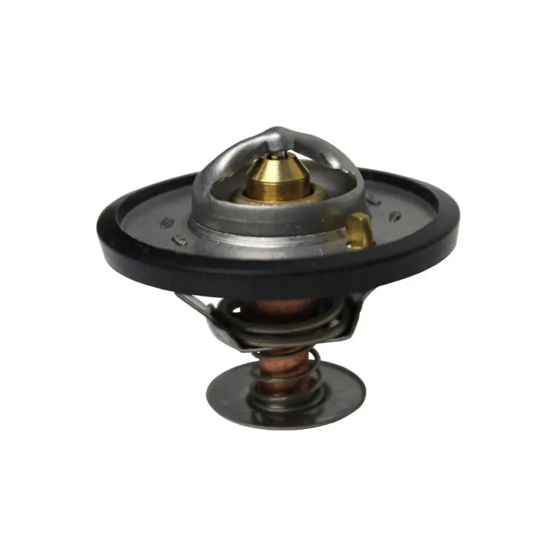 Termostat Case New Holland TS 84322388 Nu rata