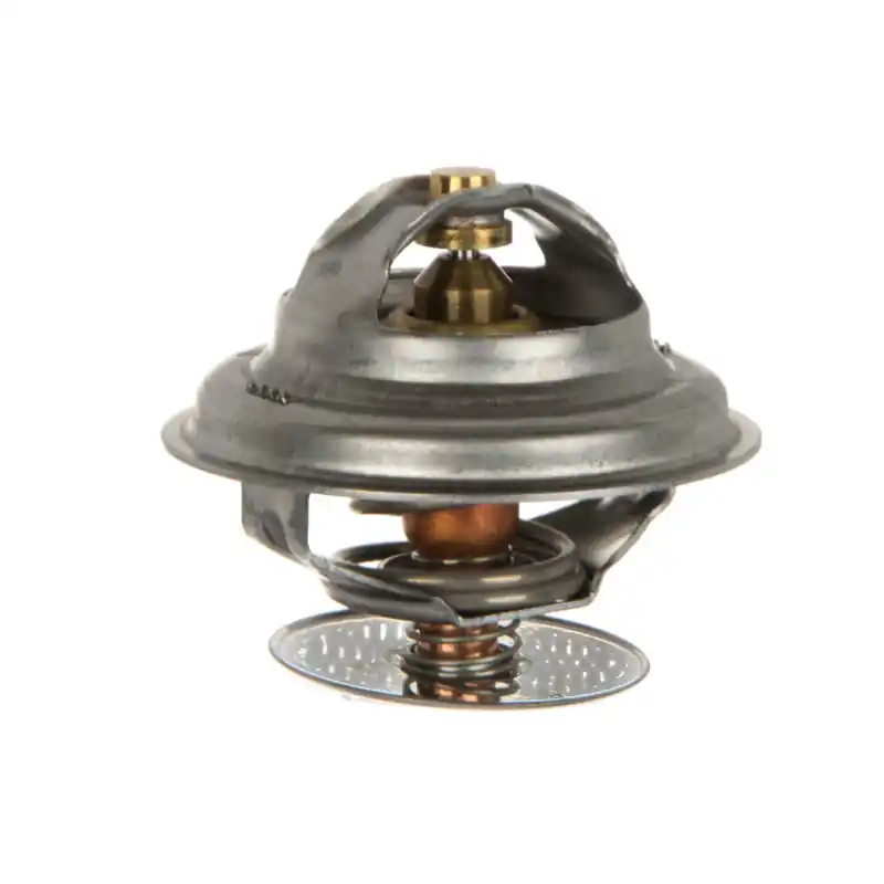 Termostat Steyr 131100040036 Ofertă exclusivă